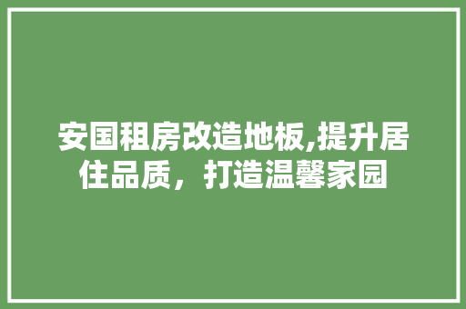 安国租房改造地板,提升居住品质，打造温馨家园