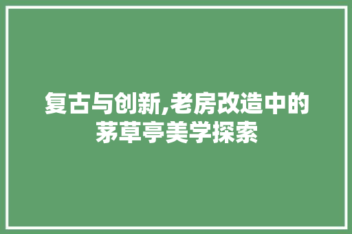 复古与创新,老房改造中的茅草亭美学探索