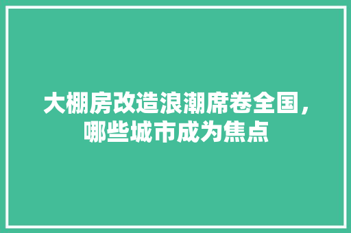 大棚房改造浪潮席卷全国，哪些城市成为焦点 综合便民