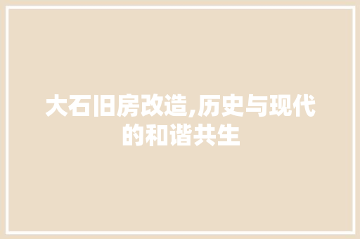 大石旧房改造,历史与现代的和谐共生 墙体维修