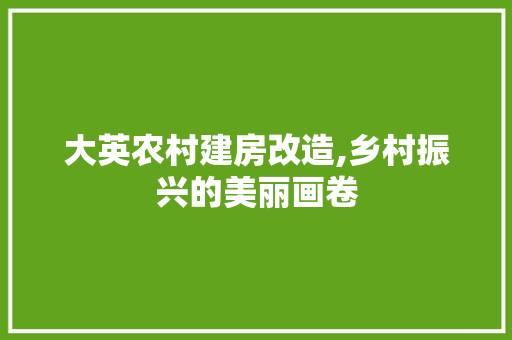 大英农村建房改造,乡村振兴的美丽画卷 汽车维修