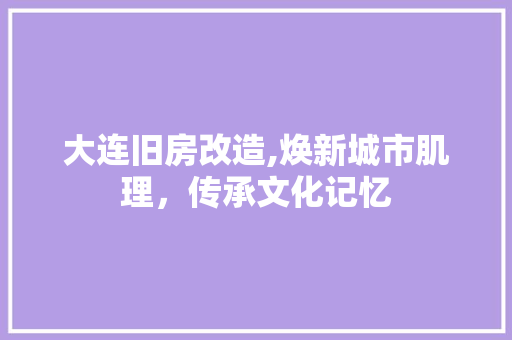 大连旧房改造,焕新城市肌理，传承文化记忆 汽车维修