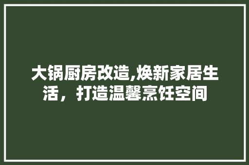 大锅厨房改造,焕新家居生活，打造温馨烹饪空间 汽车维修