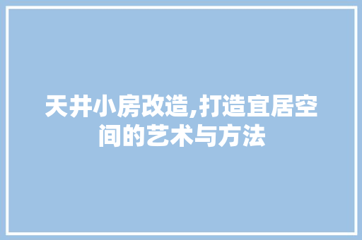 天井小房改造,打造宜居空间的艺术与方法 家电维修
