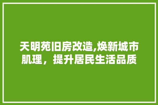 天明苑旧房改造,焕新城市肌理，提升居民生活品质 厨房维修