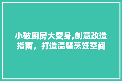小破厨房大变身,创意改造指南，打造温馨烹饪空间