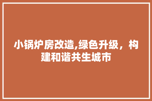 小锅炉房改造,绿色升级，构建和谐共生城市