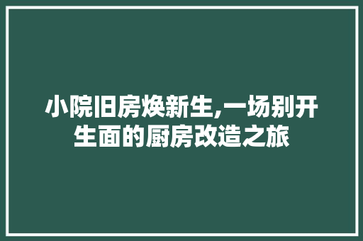 小院旧房焕新生,一场别开生面的厨房改造之旅 墙体维修