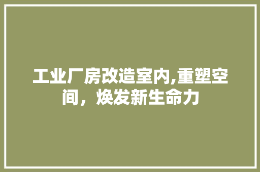 工业厂房改造室内,重塑空间，焕发新生命力 厨房维修
