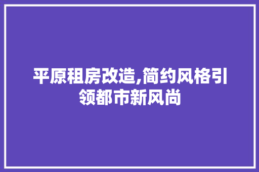 平原租房改造,简约风格引领都市新风尚