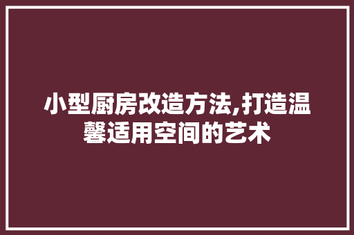 小型厨房改造方法,打造温馨适用空间的艺术