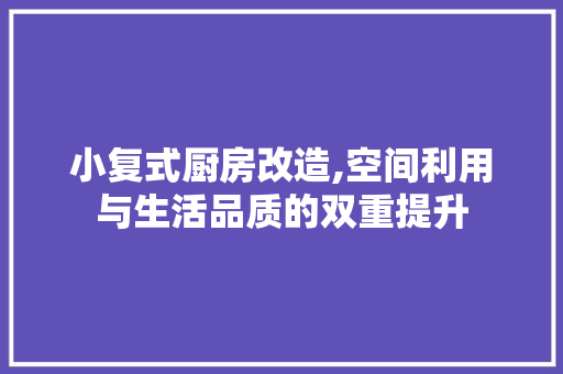 小复式厨房改造,空间利用与生活品质的双重提升