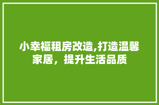小幸福租房改造,打造温馨家居，提升生活品质