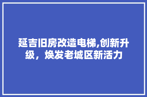 延吉旧房改造电梯,创新升级，焕发老城区新活力 墙体维修