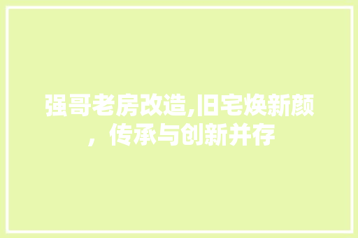 强哥老房改造,旧宅焕新颜，传承与创新并存 汽车维修
