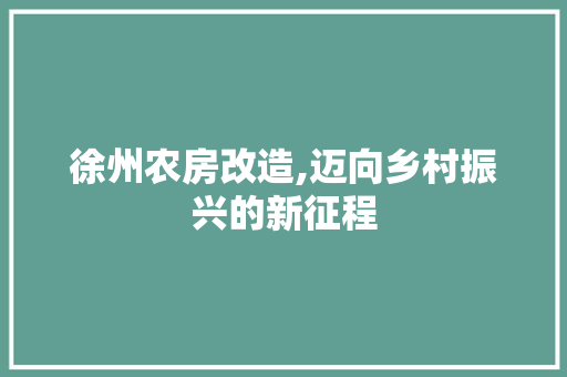 徐州农房改造,迈向乡村振兴的新征程 厨房维修