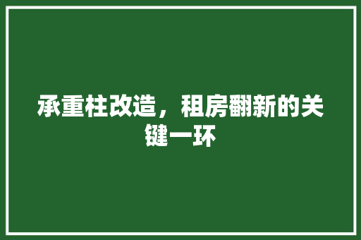 承重柱改造，租房翻新的关键一环 墙体维修