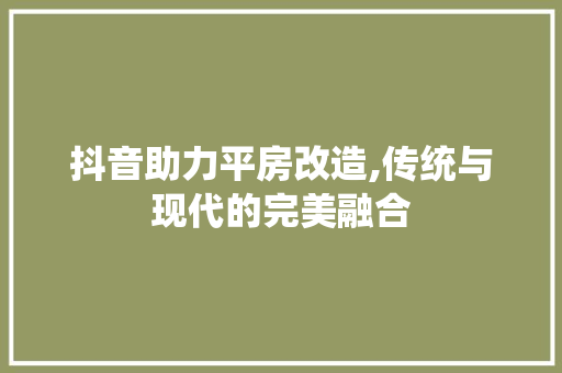 抖音助力平房改造,传统与现代的完美融合 家电维修