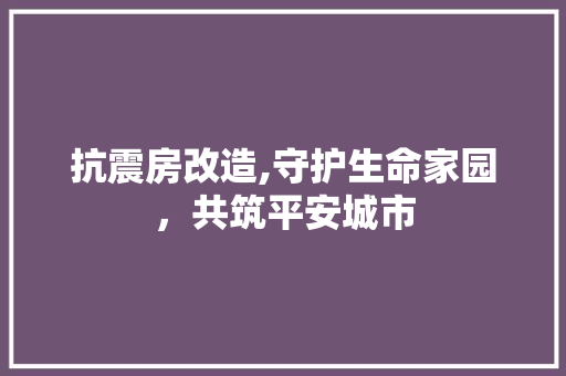 抗震房改造,守护生命家园，共筑平安城市 综合便民