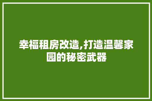 幸福租房改造,打造温馨家园的秘密武器 家电维修