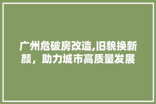广州危破房改造,旧貌换新颜，助力城市高质量发展 厨房维修
