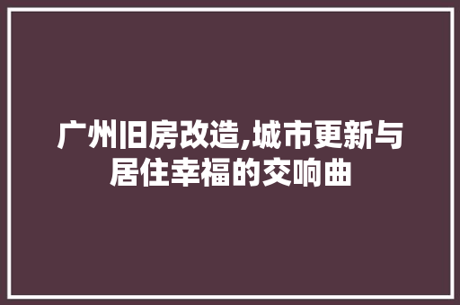 广州旧房改造,城市更新与居住幸福的交响曲