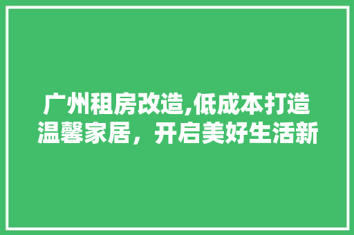 广州租房改造,低成本打造温馨家居，开启美好生活新篇章