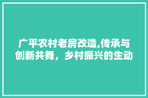 广平农村老房改造,传承与创新共舞，乡村振兴的生动方法
