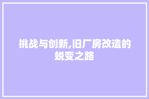 挑战与创新,旧厂房改造的蜕变之路