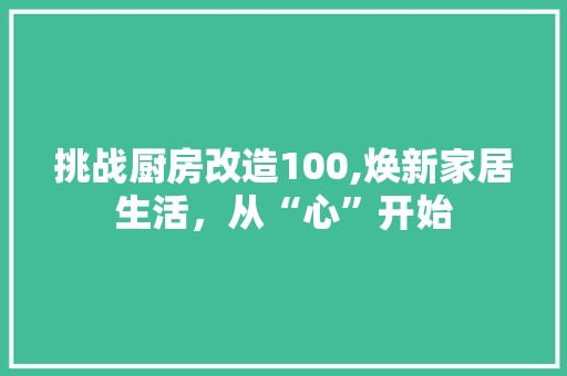 挑战厨房改造100,焕新家居生活，从“心”开始