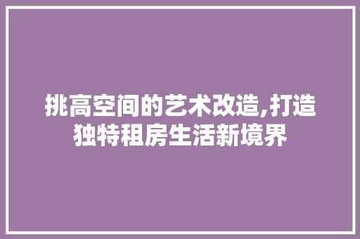 挑高空间的艺术改造,打造独特租房生活新境界