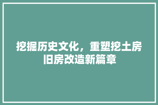 挖掘历史文化，重塑挖土房旧房改造新篇章