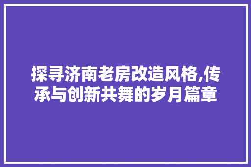 探寻济南老房改造风格,传承与创新共舞的岁月篇章 厨房维修
