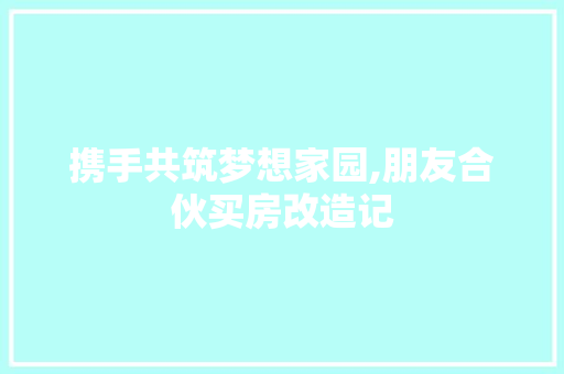 携手共筑梦想家园,朋友合伙买房改造记 家电维修