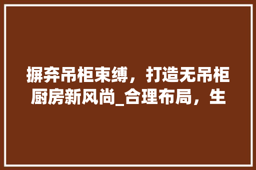 摒弃吊柜束缚，打造无吊柜厨房新风尚_合理布局，生活更美好 家电维修