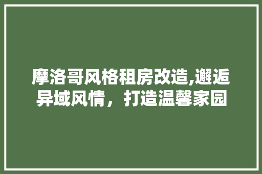 摩洛哥风格租房改造,邂逅异域风情，打造温馨家园