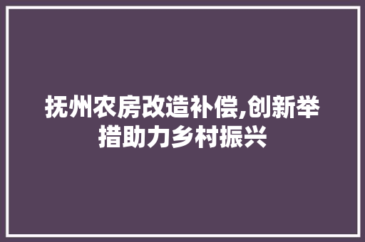 抚州农房改造补偿,创新举措助力乡村振兴 墙体维修