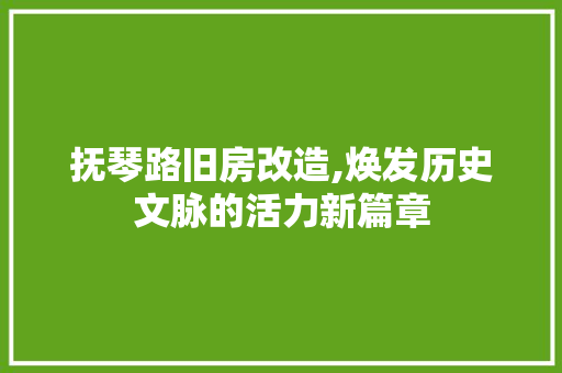抚琴路旧房改造,焕发历史文脉的活力新篇章