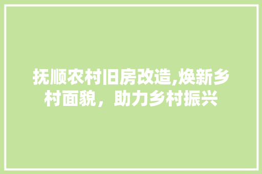 抚顺农村旧房改造,焕新乡村面貌，助力乡村振兴