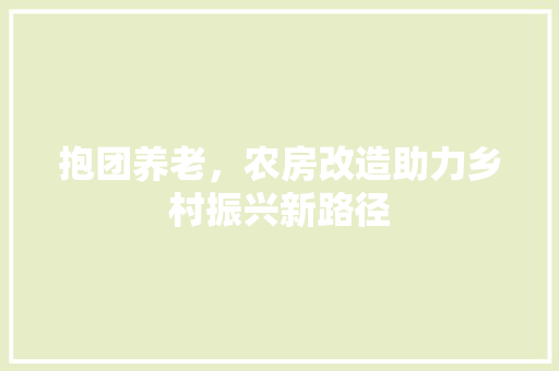 抱团养老，农房改造助力乡村振兴新路径