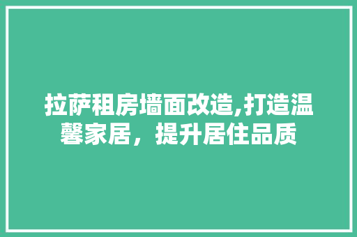 拉萨租房墙面改造,打造温馨家居，提升居住品质 综合便民