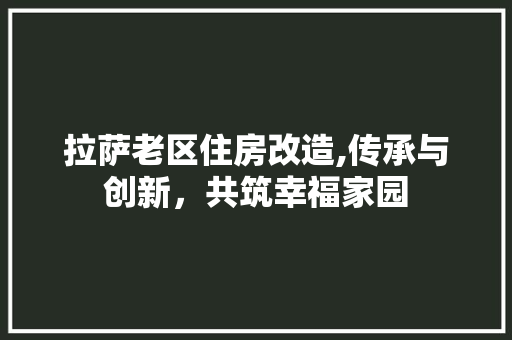 拉萨老区住房改造,传承与创新，共筑幸福家园 汽车维修