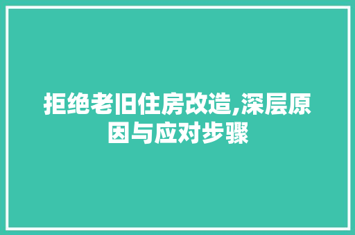 拒绝老旧住房改造,深层原因与应对步骤 厨房维修