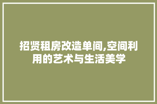 招贤租房改造单间,空间利用的艺术与生活美学 厨房维修