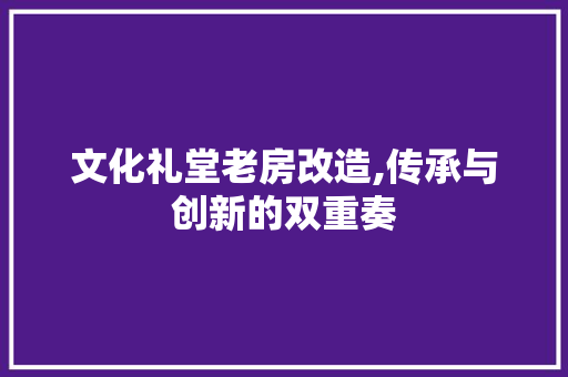 文化礼堂老房改造,传承与创新的双重奏 厨房维修