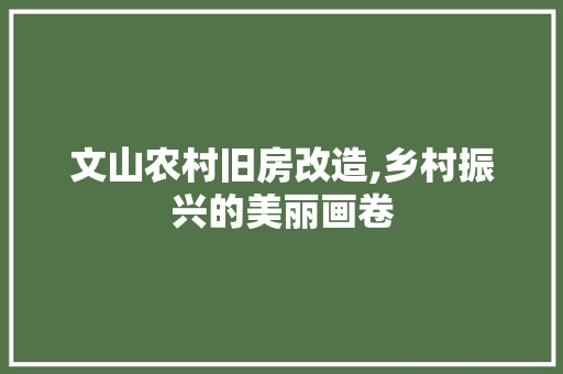 文山农村旧房改造,乡村振兴的美丽画卷 综合便民