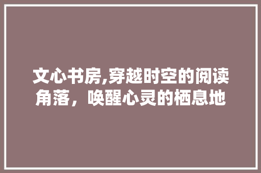 文心书房,穿越时空的阅读角落，唤醒心灵的栖息地 厨房维修