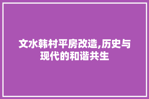 文水韩村平房改造,历史与现代的和谐共生