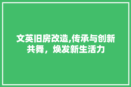 文英旧房改造,传承与创新共舞，焕发新生活力 厨房维修