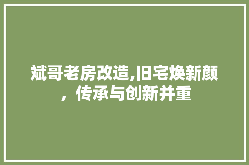 斌哥老房改造,旧宅焕新颜，传承与创新并重 家电维修